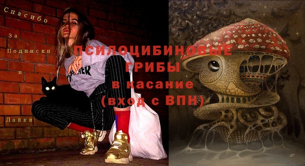 синтетический гашиш Арсеньев