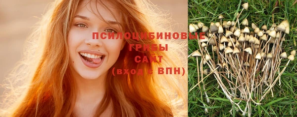 молекула духа Аркадак